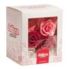 Dekora - Esspapier Tortendeko Rosen - Essbare Blumen für Torte oder Cupcake