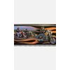 Genuine HARLEY DAVIDSON Motorcycles Orange Flames Wallpaper Border 2004