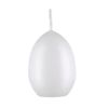 Kopschitz Kerzen Egg Candles, White, 6 x Diameter 4.5 cm, Pack of 30