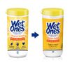 Wet Ones Antibacterial Hand Wipes, Tropical Splash Wipes | Antibacterial Wipes, Hand Sanitizer Wipes, Wet Ones Wipes, 40 ct. Canister