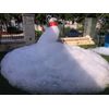 Partymachines Foam Powder Pack - Up to 50 gallons - Smaller Pack Single - use with Your Foam Generator