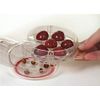wanbao SZB Cherry Pitter Cherry Pitter Cherry Seed Puller