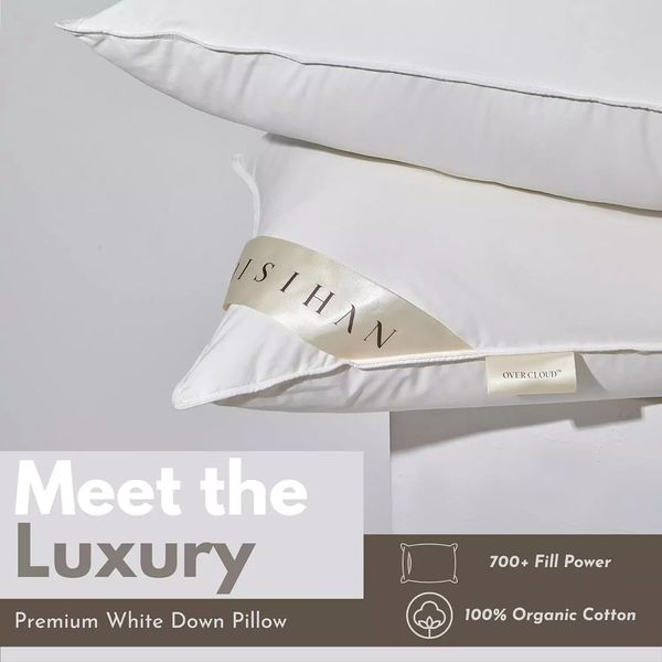 BAISIHAN OverCloud Goose Down Bed Pillows Over Cloud Luxury Side Pillow Queen 1!