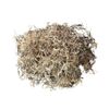Mosser Lee ML0560 Spanish Moss, 250 Cubic Inches