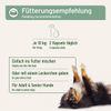 Aniforte Devil's Claw Capsules 100 Stk. for Joint Problems – Natural product for Dogs