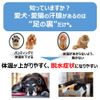 Pet Sweat Powder, 5 x 2 Pieces