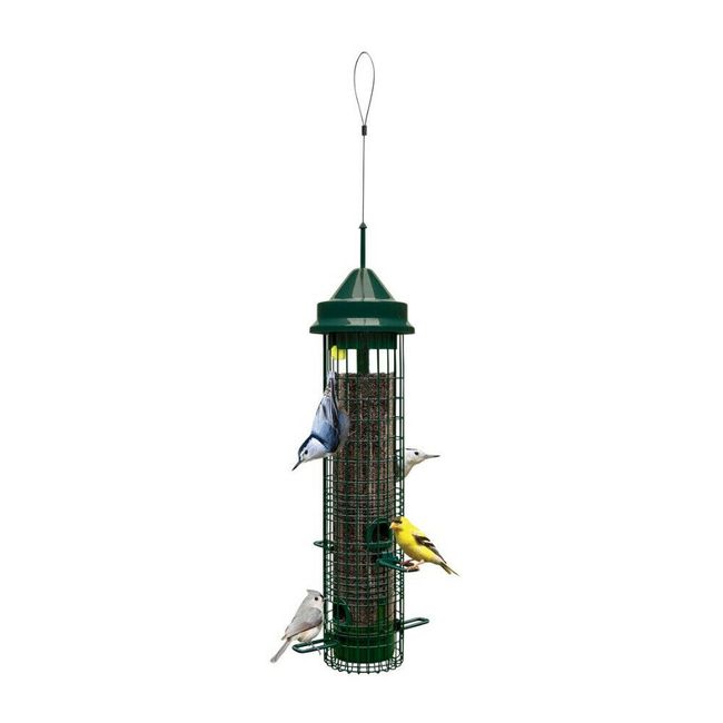 Brome Squirrel Buster Classic Squirrel Proof Bird Feeder