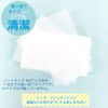 Mask Sheet, Replacement Sheet, Made in Japan, Non-woven Fabric Filter, 100 Sheets
