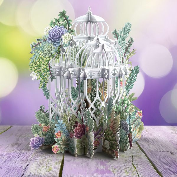 Paper D'Art - 3D Pop Up Cards - Succulent Love