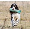 Romneys Standard Dummy 500 g Dog Fetch - Extremely Robust and Floating (Green)