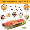 Eco-Friendly 5pcs Non-Toxic Roach Busters Cockroach Spiders Traps Sticky Boards