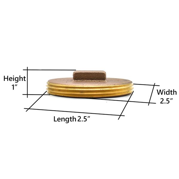 Primex 85595 2-1/2 Brass Sq. Hd. C.O. Plug