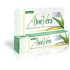 Aloe Vera Moisturizing Body Cream