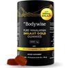 Elevate Wellness with Pure Himalayan Shilajit Gummies - 60 Count, No Sugar Added