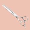 Brand: Aolanduo, Recommended Scissor for Active Professionals, Good Combing Rate, Made in Japan, 440C Premium Quality Professional Scissors, Self-Care Thinning Scissors