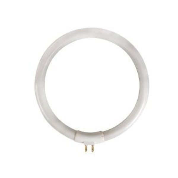 Circular Fluorescent Tube Bulb 12W/T4 for Desk Lamp (VTLAMP10)