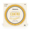 D'Addario EJ98 Cuatro-Venezuela Strings