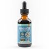 Nerve Factor - Liquid Nerve Support Supplement | Boost Blood Flow & More!