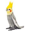 BH6470 HANSA オカメインコグレー18