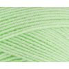 Stylecraft 9041316 Special DK Spring Green (1316) Yarn - 100g