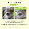 Dr. By Skin Probe Biotics Dog Supplement
