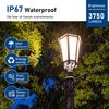 3 Pack 30W Led Light Bulb 5000K Daylight 3750 Lumen E26/E27 for Backyard