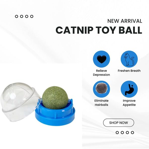 Generic Catnip Toys Balls 4 Pcs, Extra Cat Energy Ball, Edible Kitten Toys, Healthy Kitty Teeth Cleaning Dental Chew Toys, Cat Wall Treats (Blue)