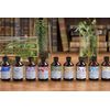Davines Naturaltech Rebalancing Shampoo 250ml