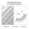 Oreola 20D Cluster Lash Extensions Mixed False Eyelash Extensions 228Pcs Lashes Cluster Natural and Wispy Reusable Eyelash Bundles 0.07D Curl 8-15mm