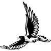 LightningSigns Flying Eagle Car,Camper Bike Van Window Stickers Decals