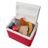 Igloo Legend 12 Cooler, Easy to Clean, Stain and Odor Resistant Liner, 9 Quart Capacity, Perfect for Lunch at Work, Ballgames or Sharing Beverages with Friends, 13"H x 9.5"W x 8.75"D