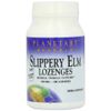 Planetary Herbals Slippery Elm Tangerine Lozenges, Herbal Throat Support, 100 Lozenge