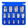 14pc Torx Torq Torque Star Female E-Socket Set Bit 1/4"+3/8"+1/2" Dr. w/Case