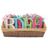 Mud Pie Summer Fun Girl Nursery Decor Small Tin Letter Initial (Letter N Patterned)