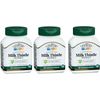 21st Century Milk Thistle Vegetarian Capsule 60ct(3 Pack)