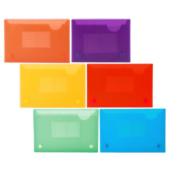 Filexec 5 x 8 Inch Index Case, Snap Button Closure, 5 Index Dividers, Assorted (Pack of 6) (50101-2091)