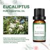 Elora 10ml Eucalyptus Essential Oil, 100% Pure & Natural