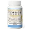 Eclectic Institute Raw Freeze-Dried Ginkgo | Circulatory Support, Supports Brain Function, Concentration & Memory | 120 CT