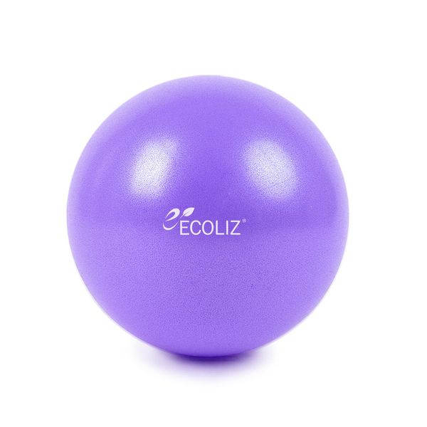 EcoLeads New Mini Gym Ball 2p, Pink