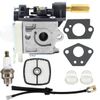Echo PE-200 PE-201 Power Edger Carburetor