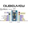 DUBEUYEW 2Pcs Pro Micro Module Board with 32U4 5V/16MHz microcontroller For Arduino, with USB Type-c