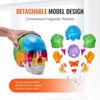 Human Skull Model Anatomical Skull Model 22 Parts 1:1 Colored Skeleton