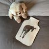 'Okapi Looking Back' Hot Water Bottle Cover (HW00034737)