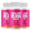 (3 Pack) Himalayan Burn Max Capsules, Himalaya Burn Max Advanced Supplement