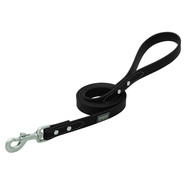 Terrain D.O.G. Brahma Webb Dog Leash, 4', Black