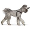 Dimaro L Harness Cowhide Black
