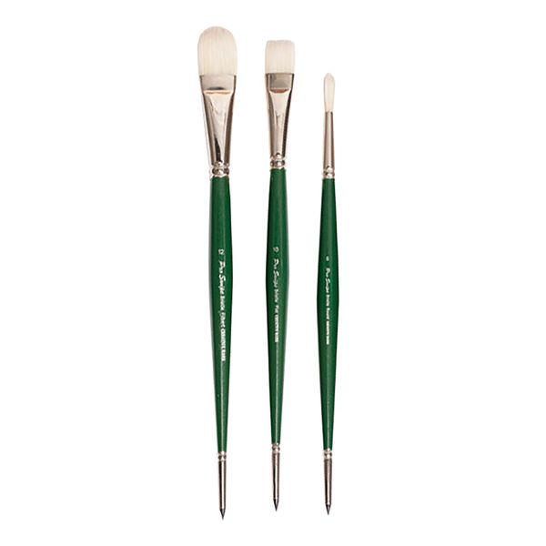 Pro Swipe Bristle Brush Set with DVD