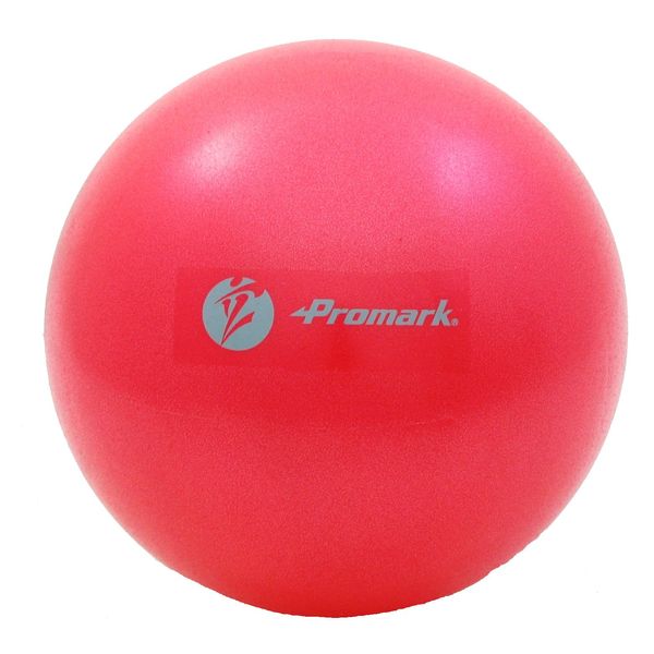 Sakurai Promark Gym Ball Level 2 Supervised by Ryuji Tachibana TPT0282 Diameter 26cm