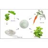 Raya Mint Masque (603) | Cooling and Refreshing Facial Treatment Mask Combination for Oily and Break-Out Prone Skin, Moisturizing,Tightening Pores, Refining Complexion, Paraben-free - 60ml