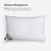 Bedgear Dri-Tec Performance Pillow Protector - Moisture Wicking by Dri-Tec Technology - Queen